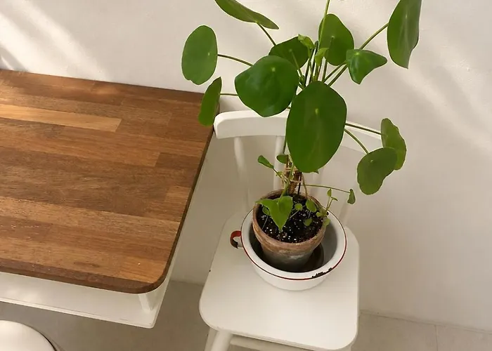 Gasthof Staygreen, Sinjeong Seoul
